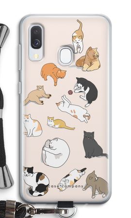Cats