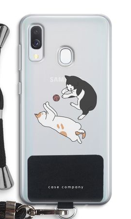 Playing cats