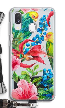 Parrots