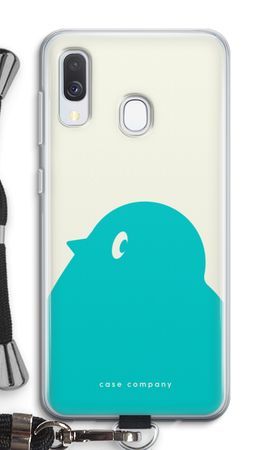 BIG Robin 1