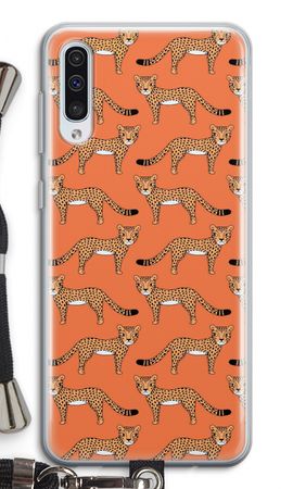 Cheetah