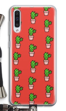 Mini cactus