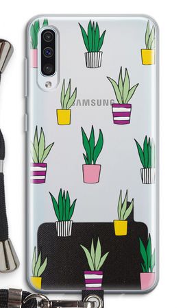 Sanseveria