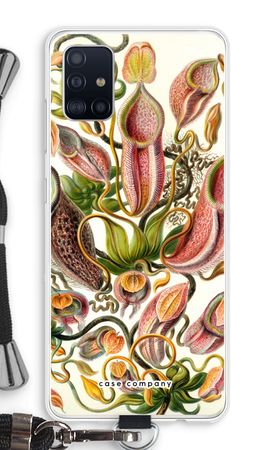 Haeckel Nepenthaceae