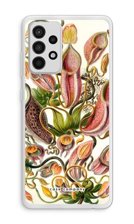 Haeckel Nepenthaceae