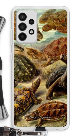 Haeckel Chelonia