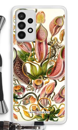 Haeckel Nepenthaceae