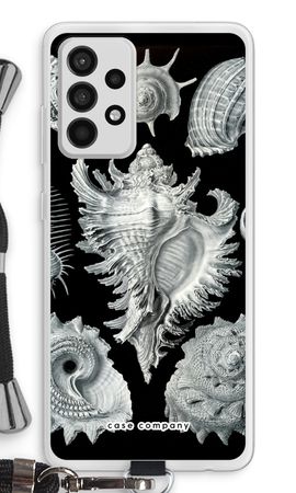 Haeckel Prosobranchia