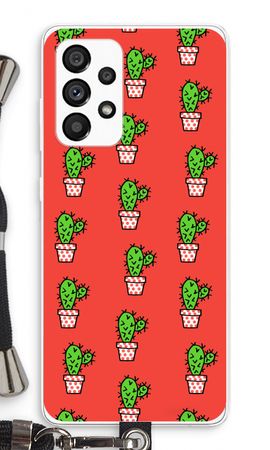 Mini cactus