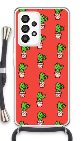 Mini cactus
