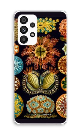 Haeckel Ascidiae
