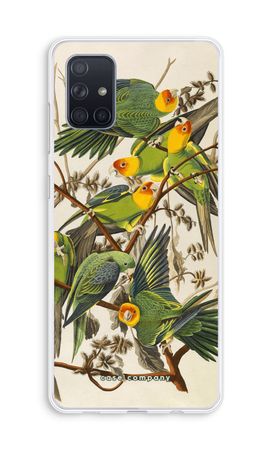 Carolina Parrot