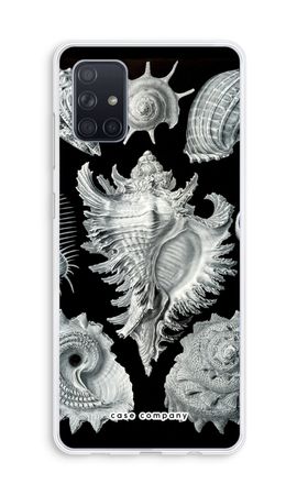 Haeckel Prosobranchia