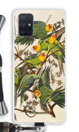 Carolina Parrot