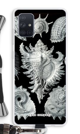 Haeckel Prosobranchia