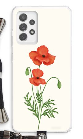 Red poppy