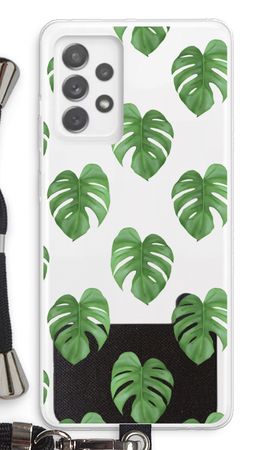 Monstera leaves