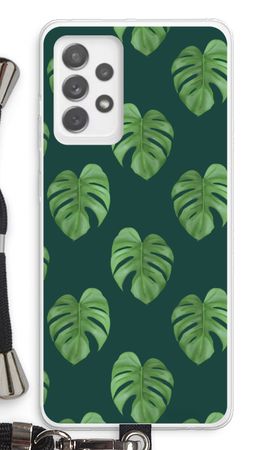 Monstera leaves