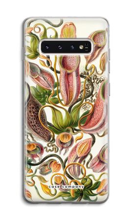 Haeckel Nepenthaceae