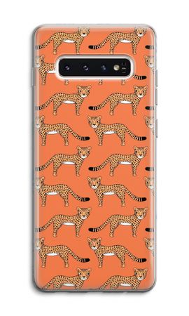 Cheetah