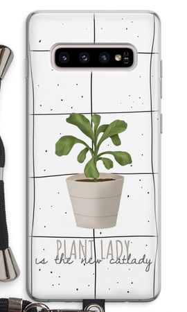 Houseplant on windowpane