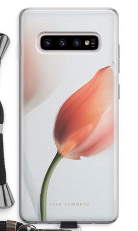 Tulip