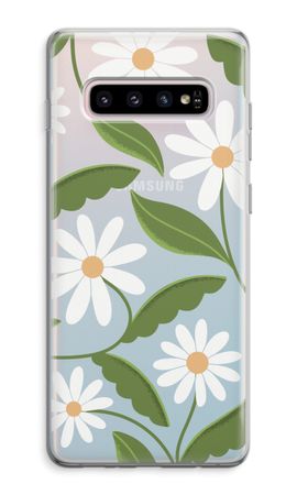 Daisies All Over