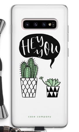 Hey you cactus