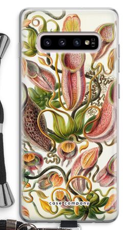 Haeckel Nepenthaceae