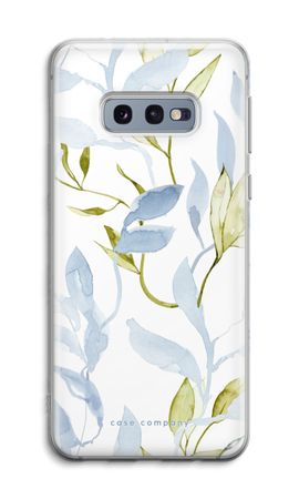 Flora