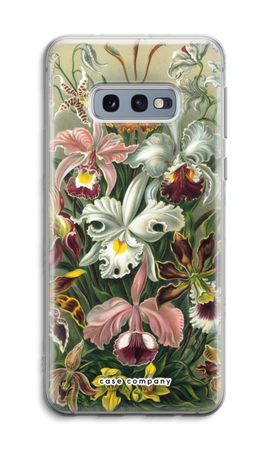 Haeckel Orchidae