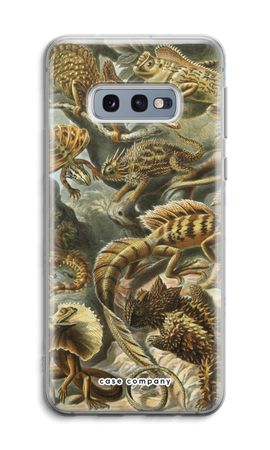 Haeckel Lacertilia