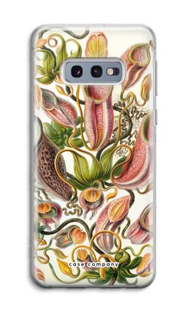 Haeckel Nepenthaceae