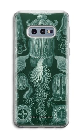 Haeckel Cubomedusae