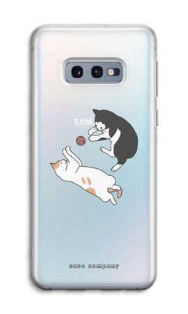 Playing cats
