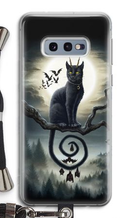 Moonlight Companions