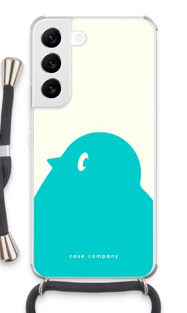 BIG Robin 1