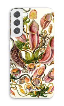 Haeckel Nepenthaceae