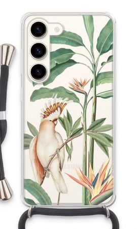 Tropical Parrot