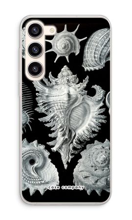 Haeckel Prosobranchia