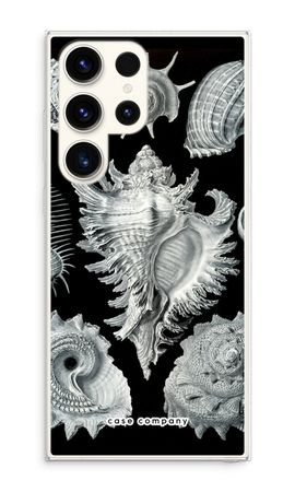 Haeckel Prosobranchia