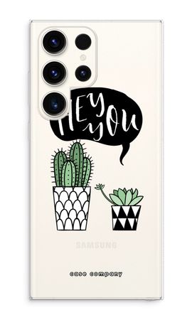 Hey you cactus
