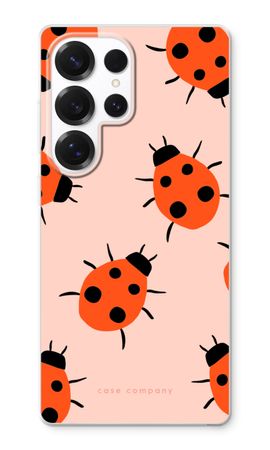 Ladybugs