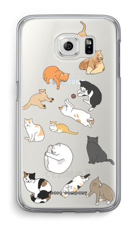 Gatos