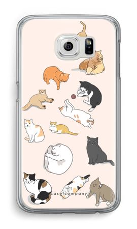 Gatos