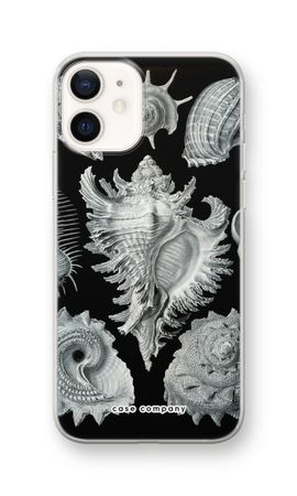 Haeckel Prosobranchia