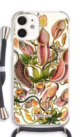 Haeckel Nepenthaceae