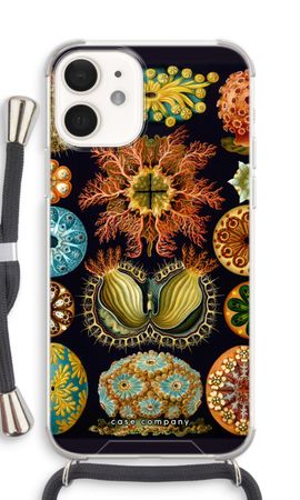 Haeckel Ascidiae