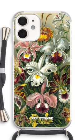 Haeckel Orchidae