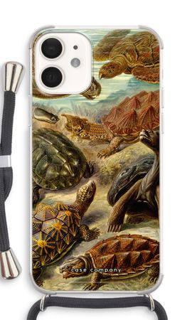 Haeckel Chelonia